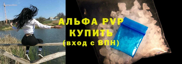 бошки Белокуриха