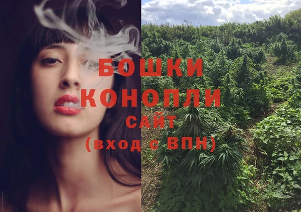 бошки Белокуриха